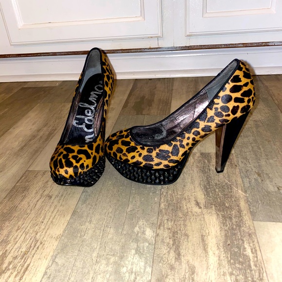 Leopard heals - Picture 2 of 4